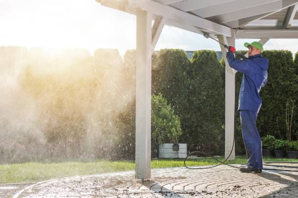 Best Sidewalk and Walkway Cleaning  in Mount Pleasant, WI